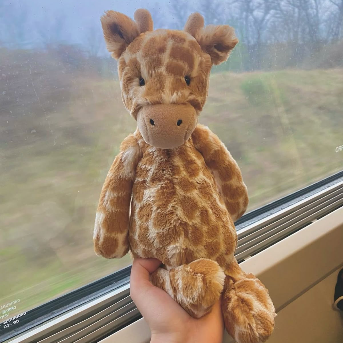 Glimzy Bashful Giraffe